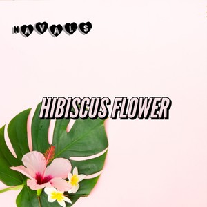 Hibiscus Flower