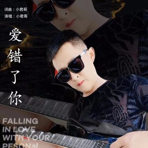 爱错了你