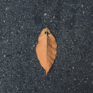 夜太孤单，我太思恋