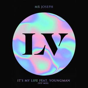 It's My Life (VIP Mix)
