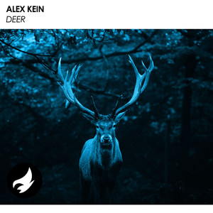 Deer (Original Mix)
