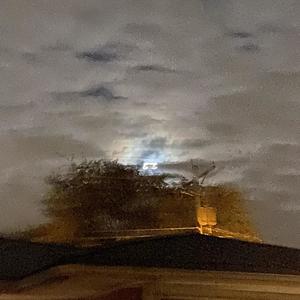 Up to you (Explicit)