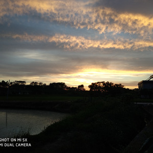 我不要这结局 (伴奏)