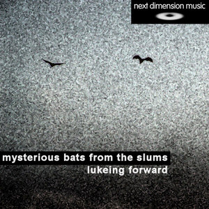 Mysterious Bats from the Slums