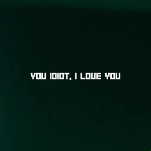You Idiot, I Love You