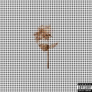 The Rose Gold Tape:, Vol. 2 (Explicit)