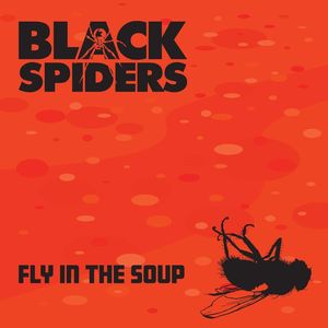 Fly in the Soup