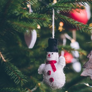 We Wish You a Merry Christmas