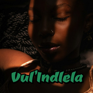 Vul'Indlela
