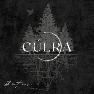 The Wayward Carrier (feat. Fergal Scahill)