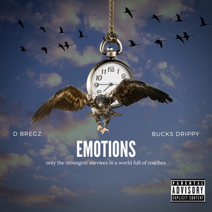 Emotions (Explicit)