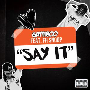 Say It (feat. FH Snoop) (Explicit)
