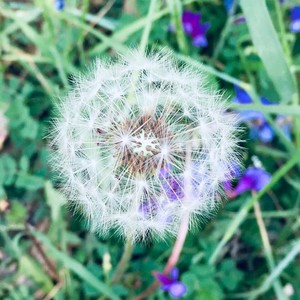 Fade (remix: Alan Walker)