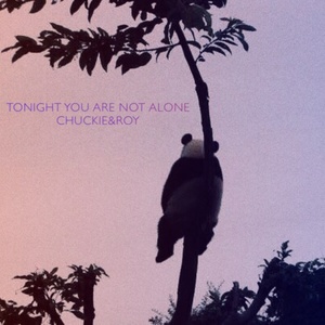 Tonight You Are Not Alone