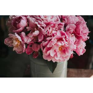 발렌타인 데이 (Valentine's Day)