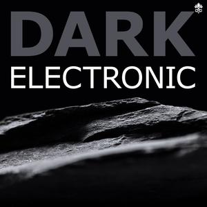 Dark Electronic