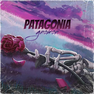 Patagonia