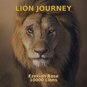 Lion Journey