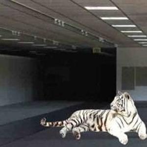 racks in the safe (Explicit)