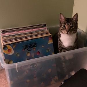 Accidental Masterpiece