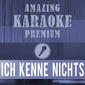 Ich kenne nichts(was so schön...) (Originally Performed By RZA & Xavier Naidoo|Premium Karaoke Version with Background Vocals)