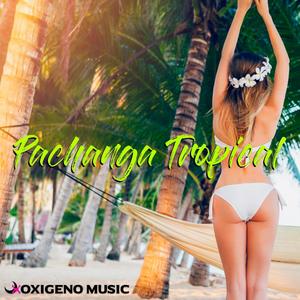 El Churrusco (feat. Defensores del Merengue) (Pachanga Tropical)