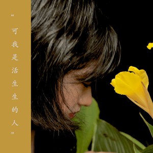 对悲观过于乐观
