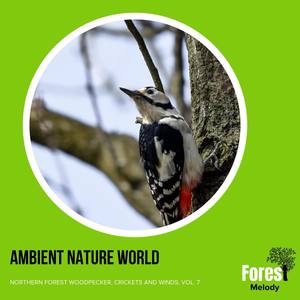 Soothe Your Mind with Ocean Waves