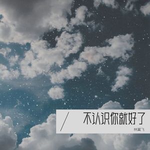 不认识你就好了