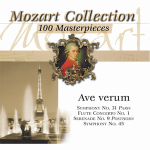Symphony No. 45 in D Major, K. 95 (73n) - IV. Molto Allegro (D大调第45号交响曲，作品95(73c)：第四乐章 极急速的)