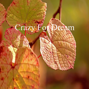 Crazy For Dream