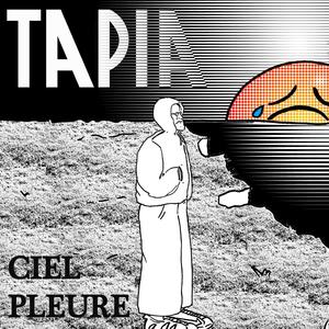 Fin du jeu (feat. BIG SNAKE MORPHE) (Explicit)