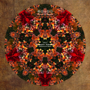 Amber Suns (Darkersound Remix)