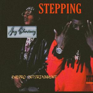 Stepping (feat. Box Check Marty) [Explicit]