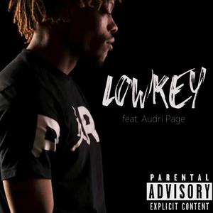 Lowkey (feat. Audri Page) [Explicit]