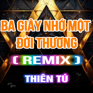 Thiên Tú - Ba Giây Nhớ Một Đời Thương (QV REMIX)