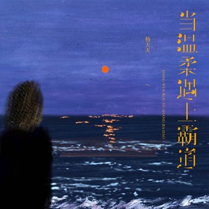 当温柔遇上霸道