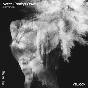 Never Coming Down (Ghin Remix)