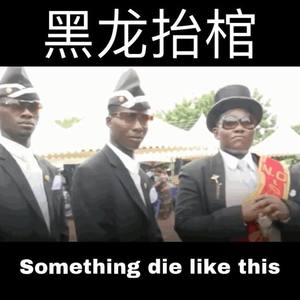 Vicetone-黑龙抬棺Something die like this (Lil KINN remix)