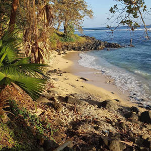 CALL ME AND SLOW DOWN