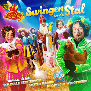Pakjeslift Op Hol