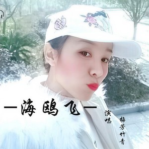 海鸥飞
