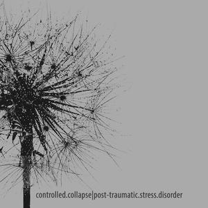 Post-Traumatic Stress Disorder (Explicit)