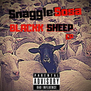 Blackk Sheep Media & Friends (Explicit)