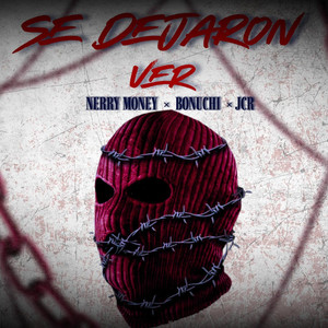 Se Dejaron Ver (Explicit)