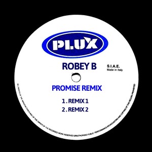 Promise Remix