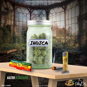 Indica (Explicit)