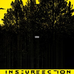 Insurrection (Explicit)