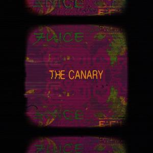 The Canary