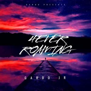 FREESTYLE (feat. Felicia Flows) (Explicit)